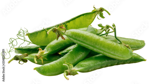 Bild auf Leinwand Isolated fresh green organic raw sweet pea pods, healthy garden vegetable food i