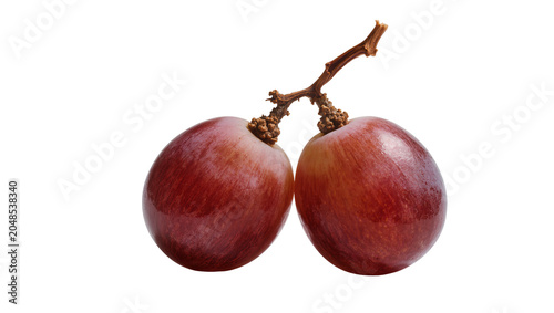 Billede på lærred Isolated close up of two fresh ripe red grapes on a vine stem, delicious healthy