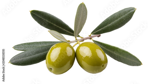 Fotografía Isolated two fresh green olives on an olive tree branch with natural glossy gree