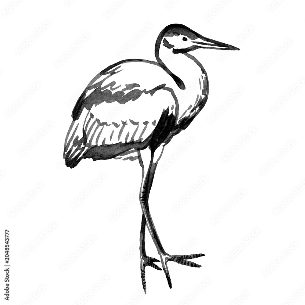 Obraz premium Hand drawn ink bird. Sketch bird, black lines. Black and white bird illustration. Bird sketch use as print, postcard, illustration, poster, element design, textile, label, sticker.