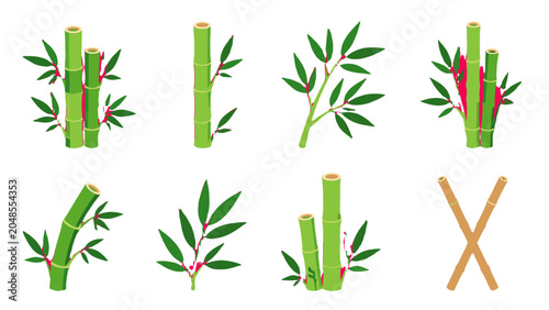 Billede på lærred Set of bamboo stems and leafy branches isolated on white