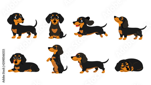 Bild auf Leinwand Cute dachshund cartoon set in different poses on white