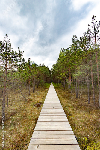 Foto Wooden Boardwalk Through Varnikai Bog in Trakai National Park