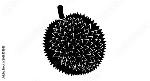 hedgehog on white background