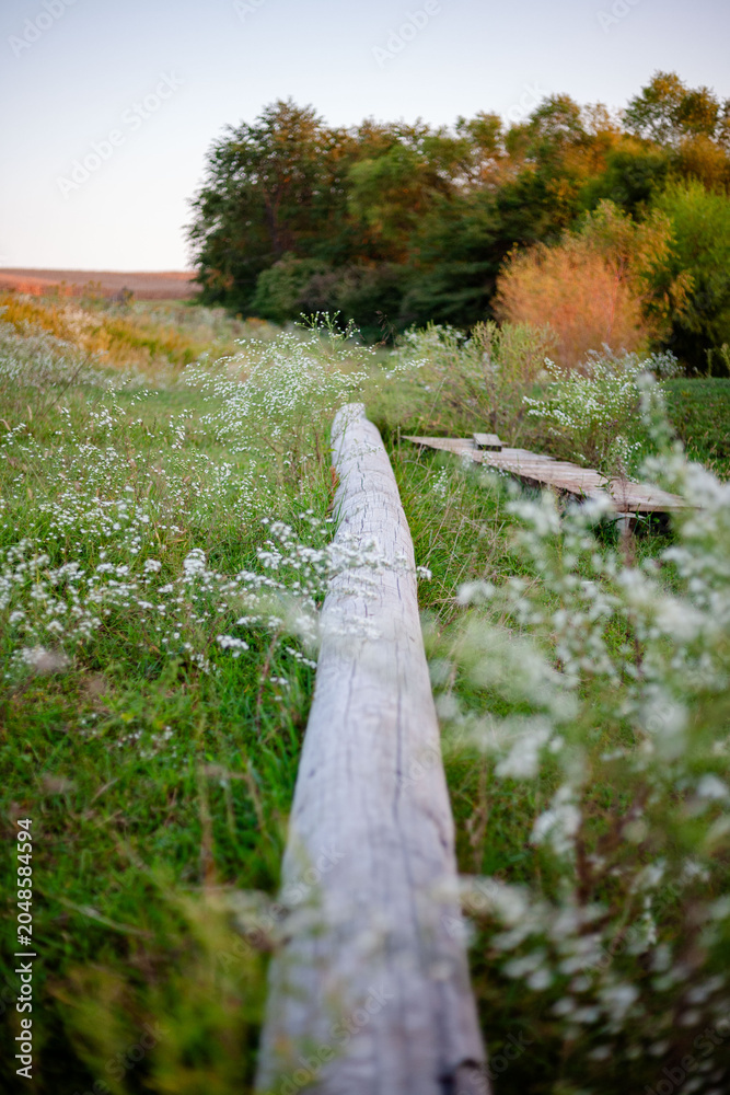 Obraz premium Rustic landscape with wooden path