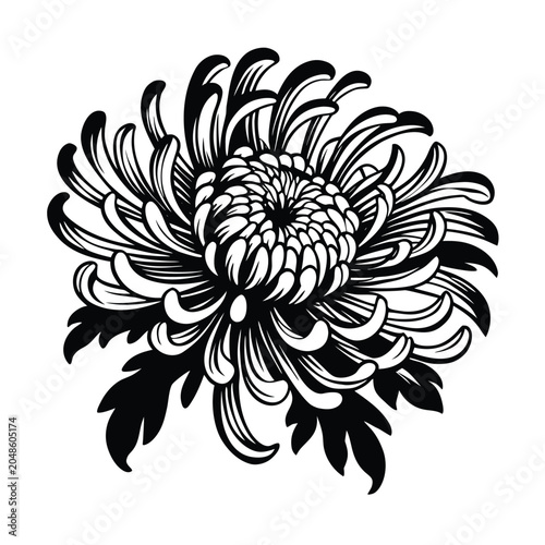 Chrysanthemum flower continuous line art vector illustration with modern minimalist botanical aesthetic
