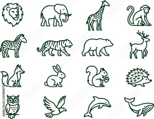 Photography Wild animals collection lion elephant giraffe monkey zebra tiger bear deer fox rabbit squirrel hedgehog owl bird dolphin whale