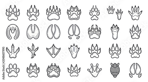 Photography Set of Animal Paw Prints and Footprints, Hand-Drawn Vector Illustrations