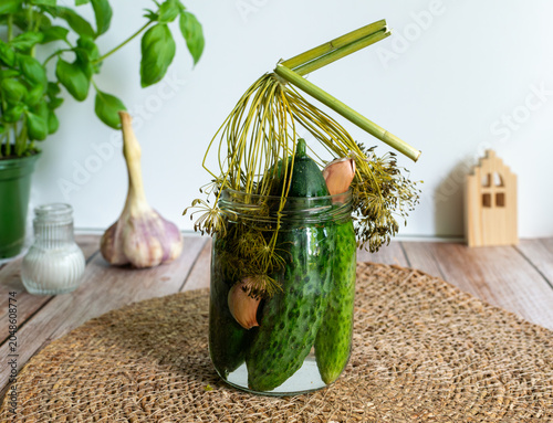 Fresh pickling cucumbers arranged inside a glass jar with dill flower heads and garlic cloves. Traditional ingredients prepared for homemade fermented cucumbers and seasonal food preservation.