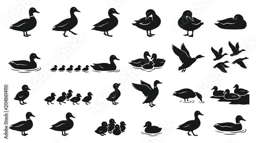 Tableau sur toile Duck silhouette collection featuring various poses and life stages black vector
