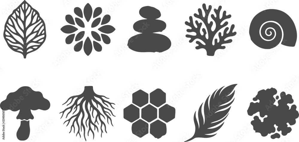 Ταπετσαρία Collection of nature and organic elements silhouettes natural shapes for graphic design projects