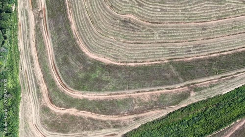 Aerial view of curved agricultural fields showing patterns of harvested crops and green vegetation