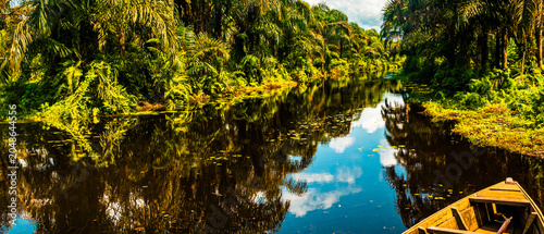 Journey Through Benin's Hidden Jungle Waterway