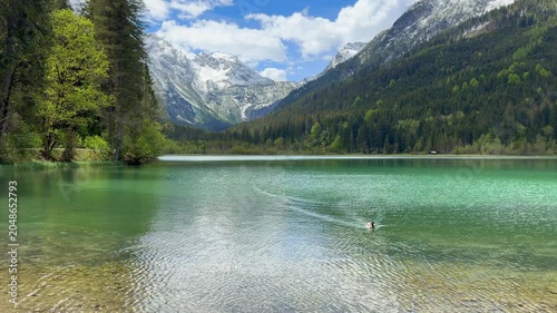 Ducks on the Jagersee Lake, Kleinarler Valley, Radstadter Tauern, province of Salzburg, Austria	