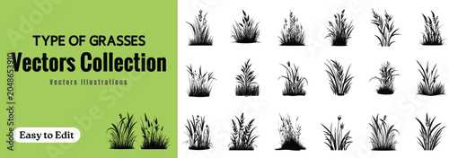 Tableau sur toile Types of grasses vectors collection, black grass silhouettes bundle isolated on white background