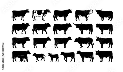 Cow breed silhouette collection black vector isolated on white