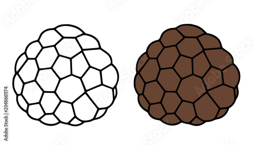 Cuadro en lienzo Truffle minimalist icon, in line art and colored design, transparent background