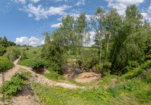 Slender birch trees grow inside a deep ravine with a small stream. A dirt path leads to a wooden bridge under a blue summer sky.