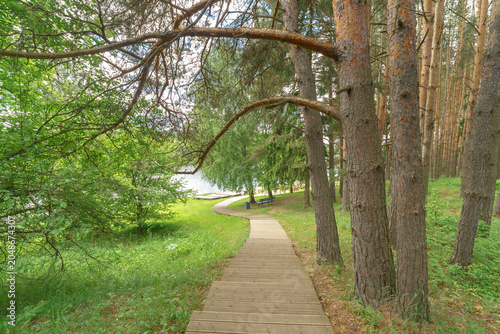 Pine and birch trees surround a wooden boardwalk leading to a river. Curved branches overhang the plank path on a green slope.