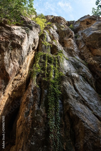 Vertical Canyon Wall with Moss and Rock Formations.