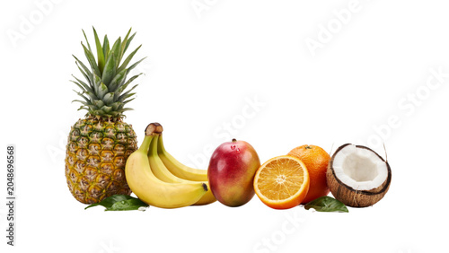 Fresh tropical fruits arranged in a colorful row Vector