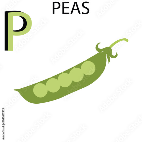 Educational Fruits and Vegetables Spelling and Color Matching Worksheet