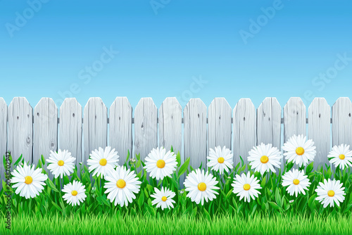 White garden fence with blooming daisies under bright blue sky