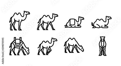 Photos Set of camel icons in different poses and activities for graphic design