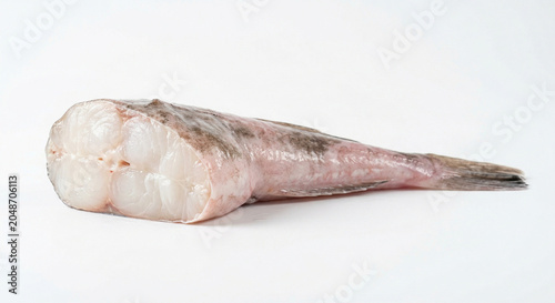 Single perfect raw monkfish tail with vivid white flesh