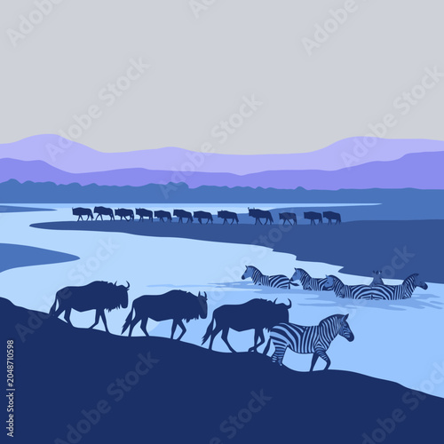 Wildebeest and zebras crossing a river during migration.