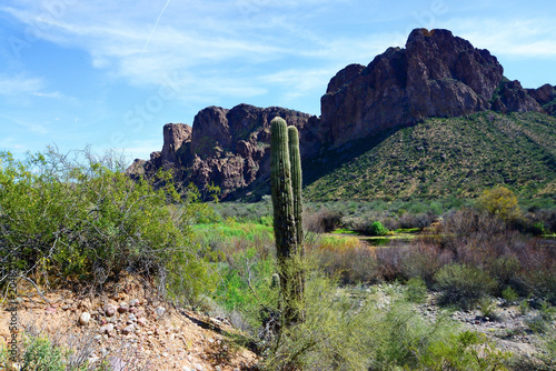 Salt River Recreation Area Arizona