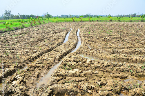 Plowed Agricultural Field with Tractor Tracks in Rural Countryside.