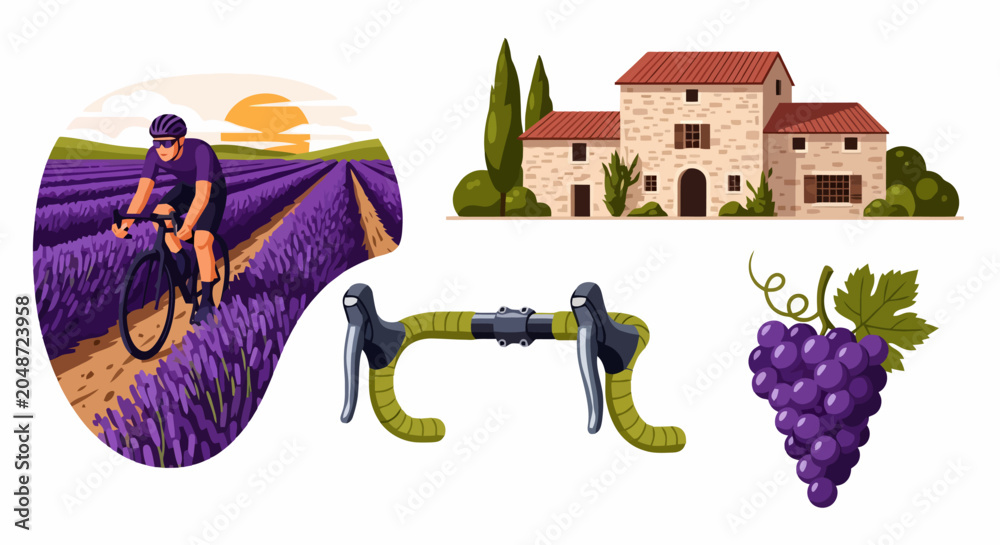 Fototapeta premium Cyclist Riding Through Lavender Fields Near Vineyard and Farmhouse.