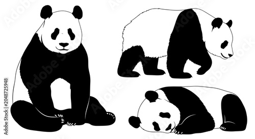 Panda Bears Collection: Sitting, Walking, Sleeping - Black and White Illustration