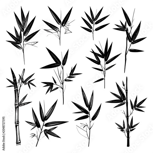 Minimalist black and white leaf pattern design.