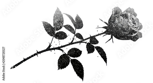 Vintage Monochrome Rose Illustration with Thorny Stem and Leaves