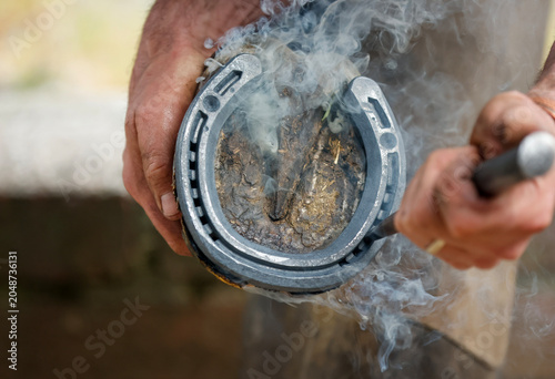 Foto Hot horseshoe smoking being placed on a horses foot for the farrier to measure the fit