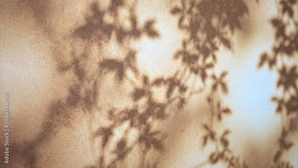 Fototapeta premium Soft shadows of leaves cast on a textured surface, creating an artistic interplay of light and shadow. The warm tones enhance the natural beauty.