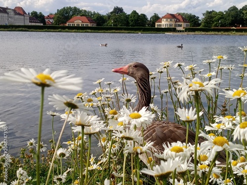 München, Deutschland, Bayern, Schloss Nymphenburg
