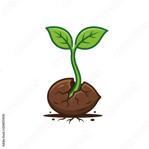 Sprouting Seedling Breaking Seed with Roots Vector