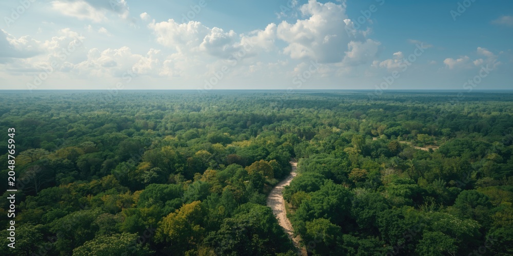 Fototapeta premium Natural untouched forest from above displaying sustainability sign promoting stakeholder governance initiatives