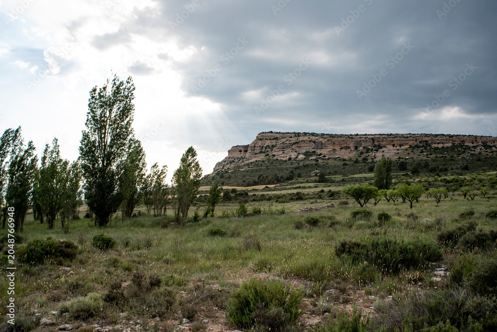 Fototapeta premium Landscape of the fields of San Juan, in Moratalla