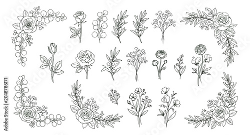 Photos Hand drawn botanical line art collection, floral vector set with roses and wildf
