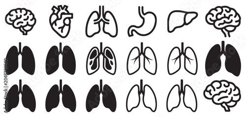 Foto Stethoscope, teeth and heart medical icon collection vector illustration eps 10