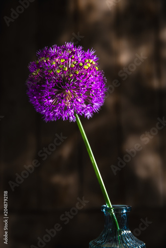 Vibrant purple allium flower with green accents standing tall in a glass vase, creating a beautiful still life arrangement against a rustic wooden background