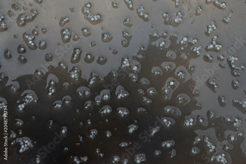 Fotografie Small ice hailstones gathered on a wet glass surface after a hailstorm