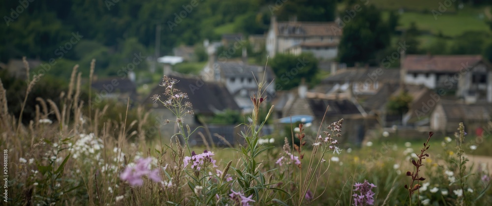 Obraz premium rustic village panorama with natural wildflowers up close