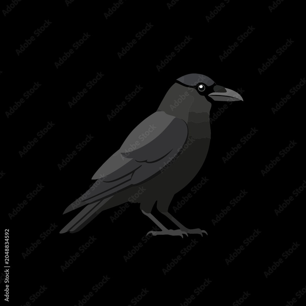 Fototapeta premium Black crow bird illustration standing in profile