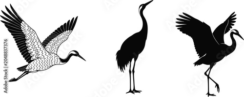 Fotografie Three stylized crane silhouettes in varied poses, featuring flying, standing, an