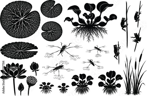 Bild auf Leinwand Aquatic Plants And Insects Silhouette Collection Wetland Nature Vector